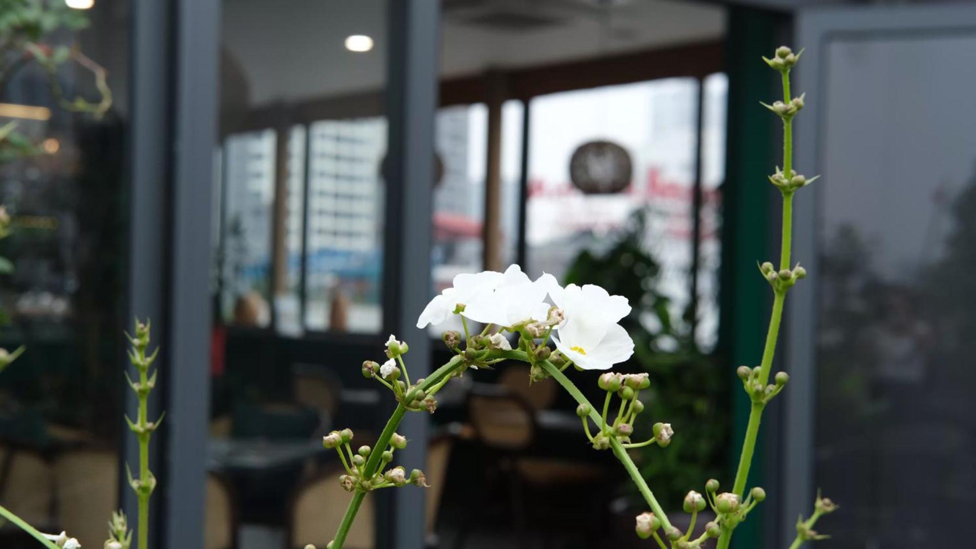 The Bloom Hanoi - Bespoke Living Hanói Exterior foto